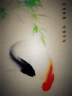 动态锦鲤游动中文版手机壁纸高清