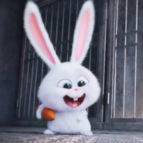 这个兔子是出自哪部动画片里的啊