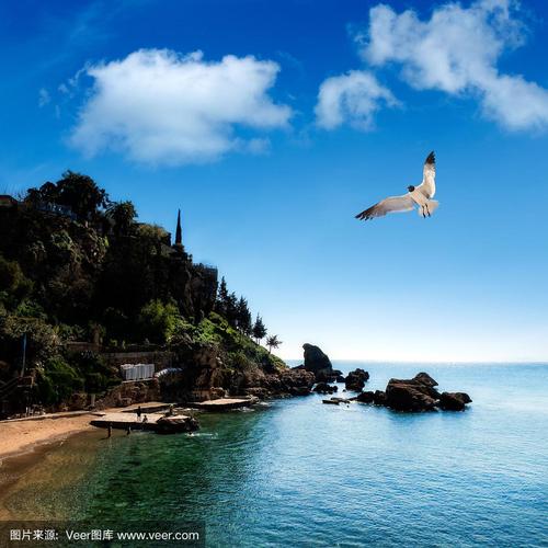 海景图像与飞翔的海鸥和岩石海岸在阳光灿烂的天空