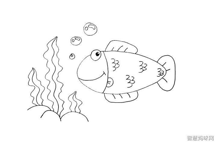 西沙群岛海底鱼的画法简笔画