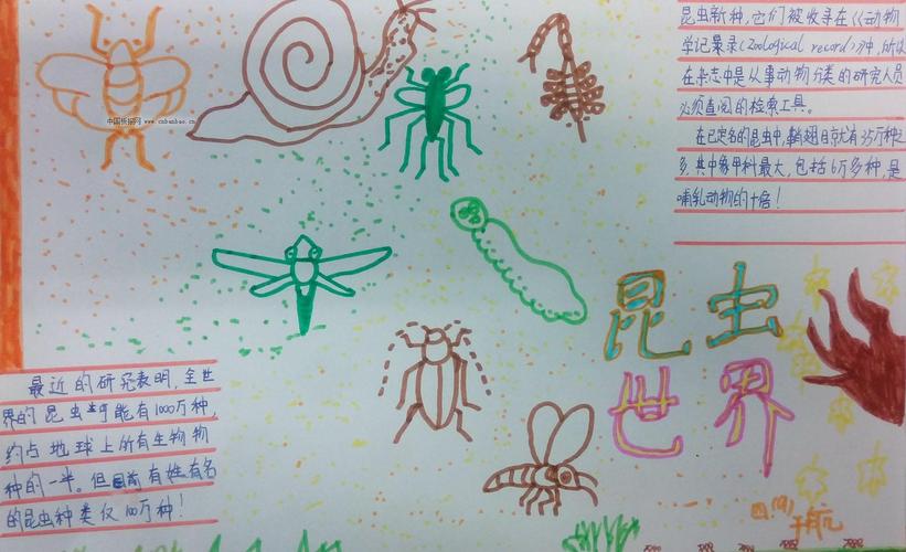关于昆虫的手抄报三年级