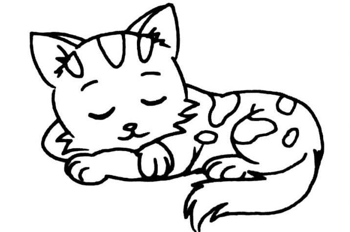 睡觉的猫咪简笔画可爱