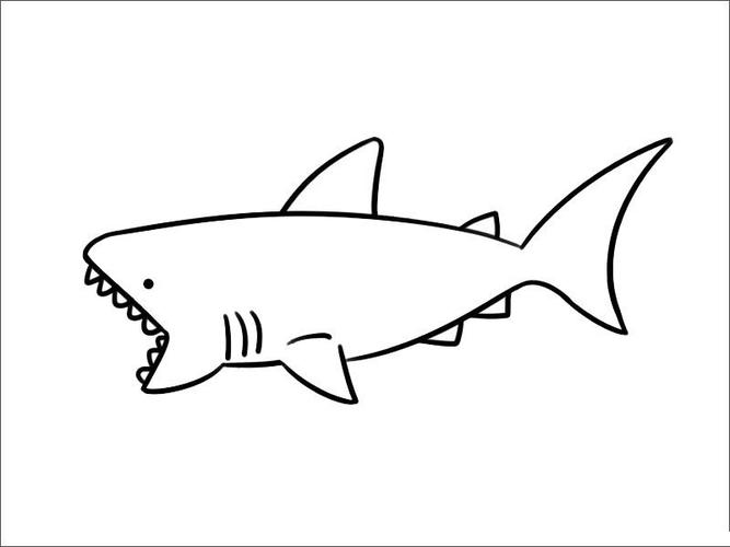 鲨鱼简笔画3-6岁图文