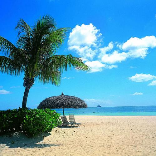椰树沙滩蓝天大海头像