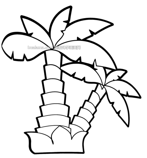 画椰子树简笔画