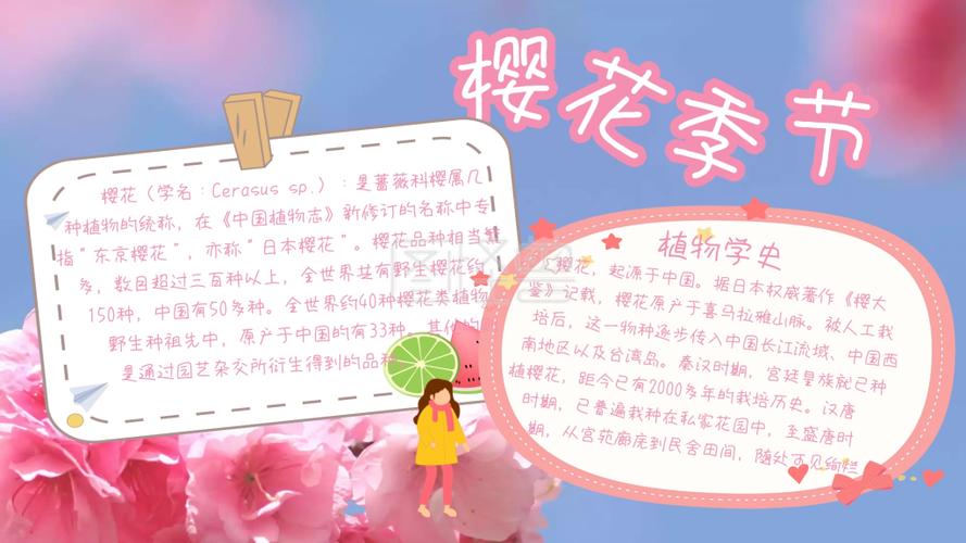 粉色浪漫樱花季节手抄报