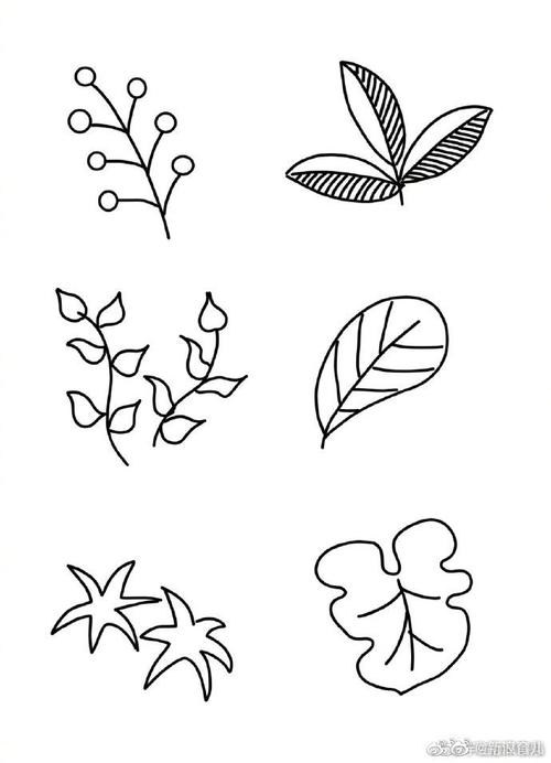 十种不同的叶子形状简笔画