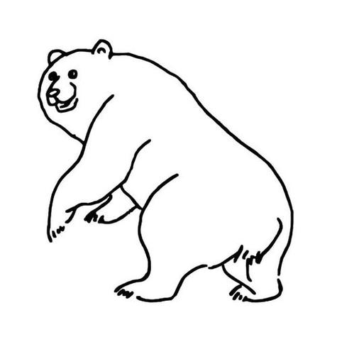 动物简笔画大全图片熊