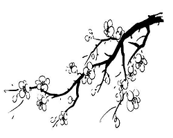梅花图片简笔画手绘这是梅花的花心